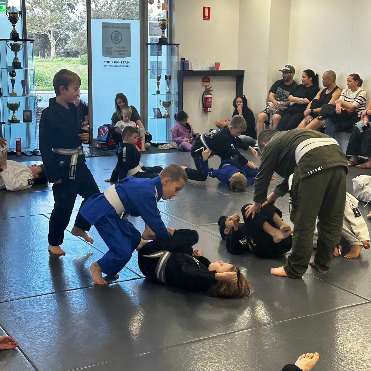 Kids Jiu-Jitsu at Mat Shark