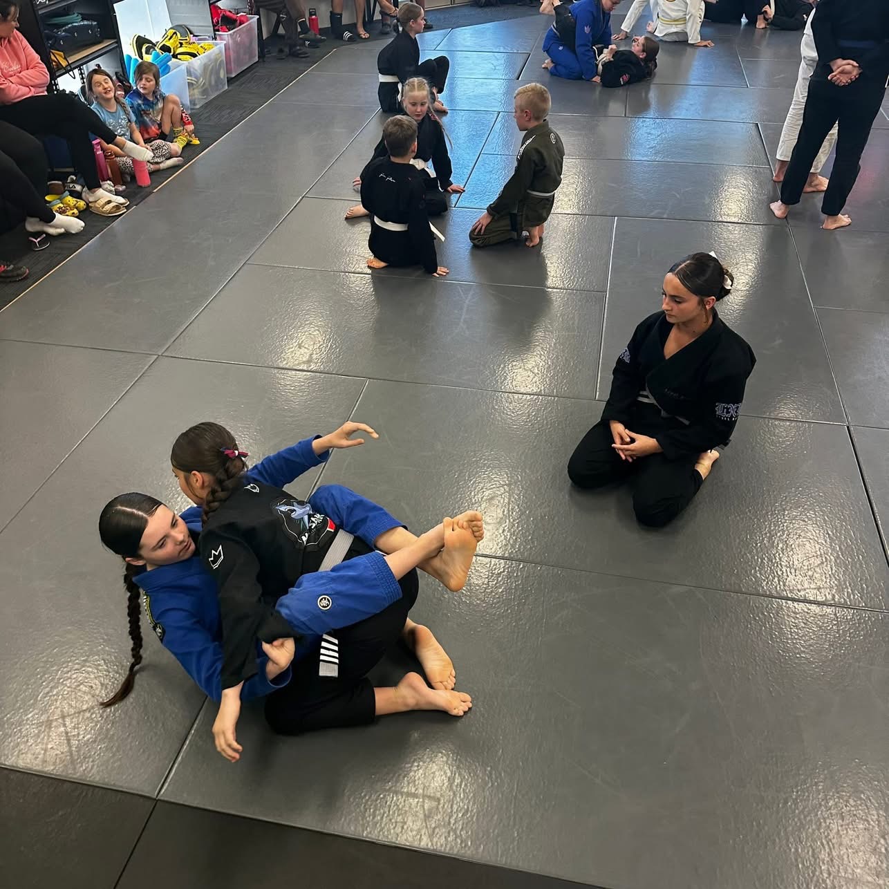 Youth Jiu-Jitsu at Mat Shark