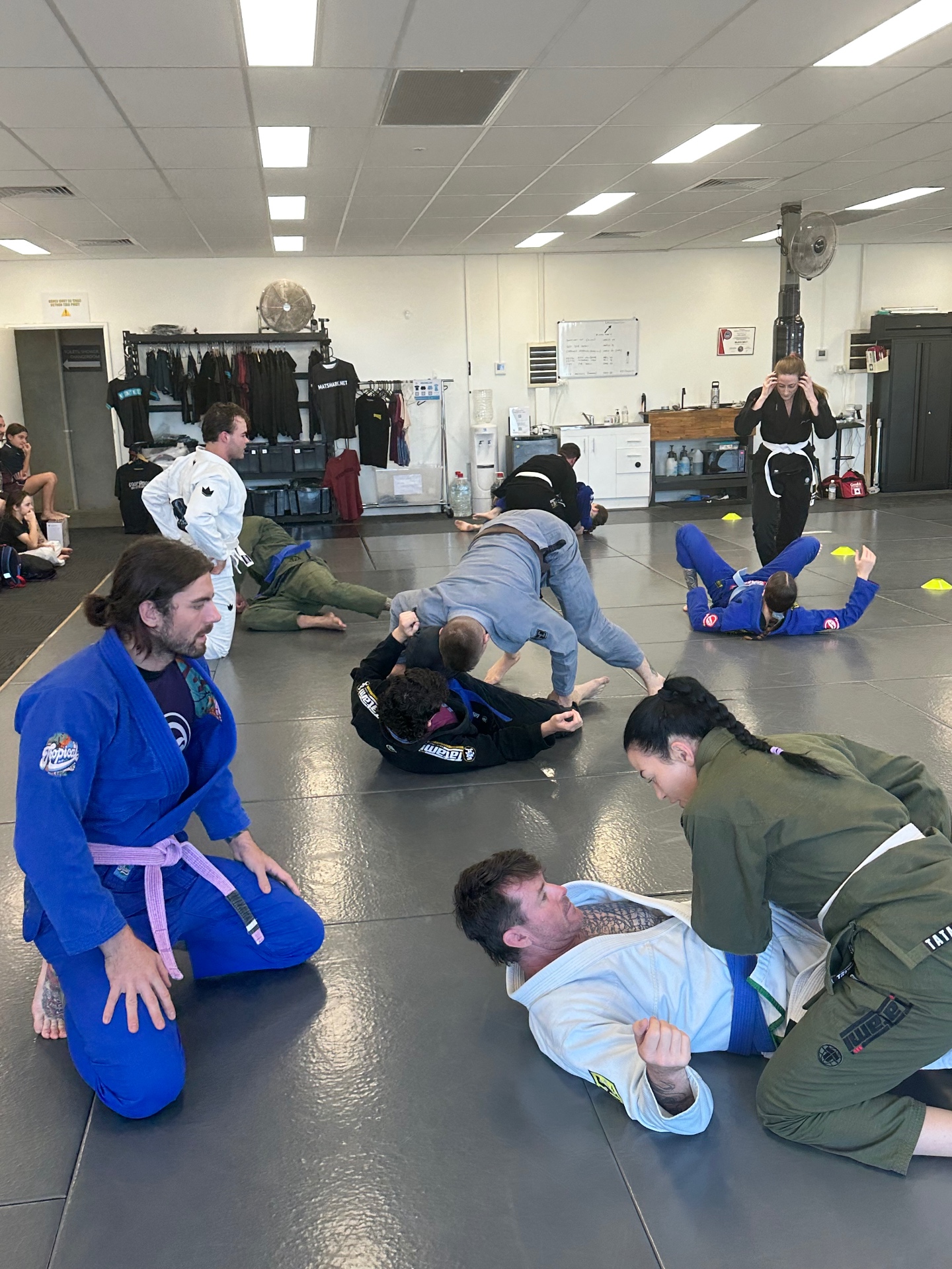 A full adults class drilling in pairs on the mats