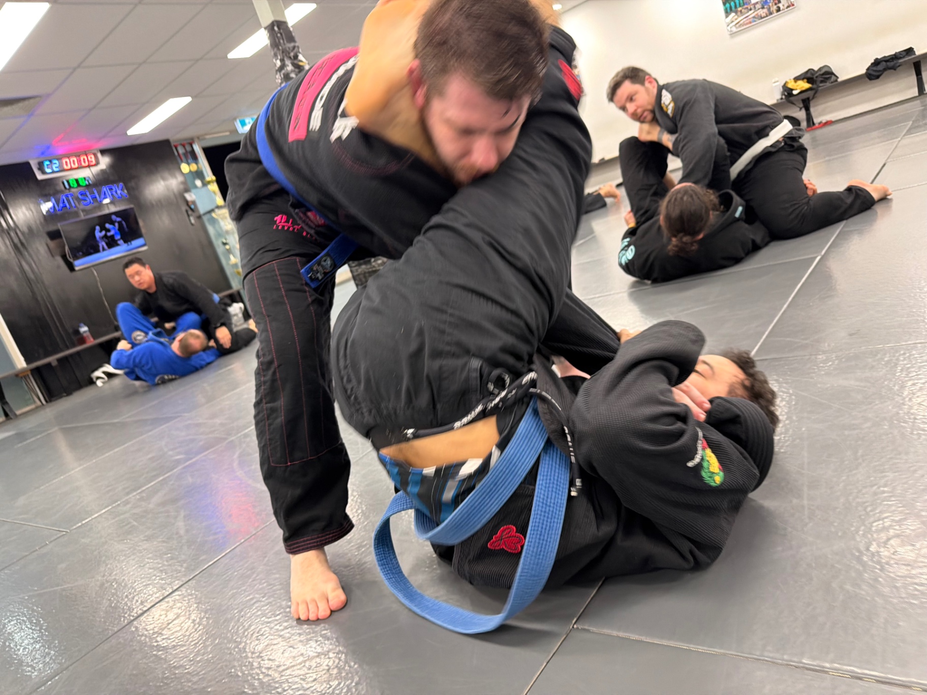 Adults sparring in the gi under the Mat Shark neon sign