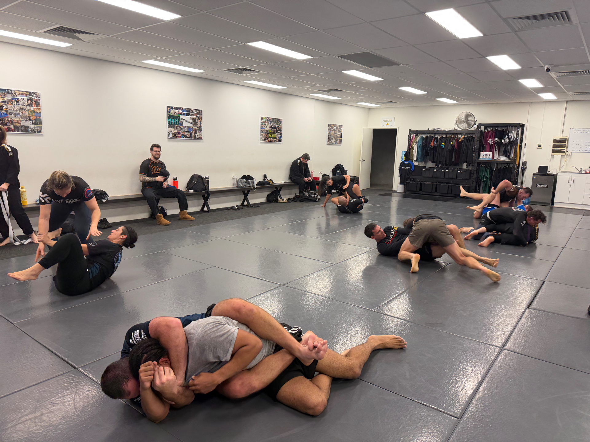 A full no-gi class rolling across the mats at Mat Shark